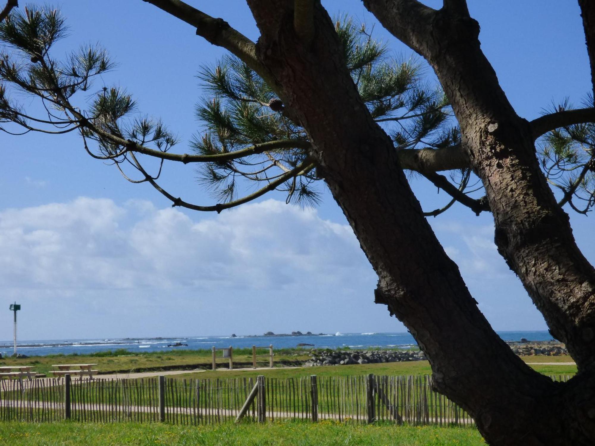 Appart-Studios Vue Mer Panoramique St Guenole Cote Mer Penmarcʼh Pokoj fotografie